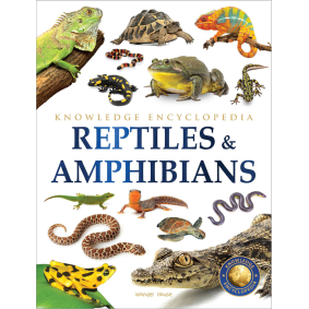 Animals - Reptiles and Amphibians : Knowledge Encyclopedia For Children
