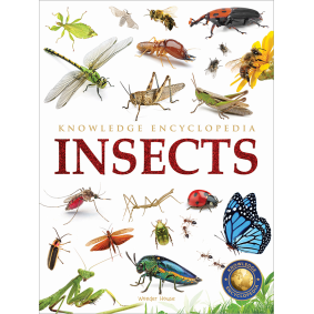 Animals - Insects : Knowledge Encyclopedia For Children