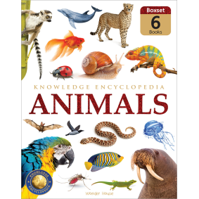 Animals - Collection of 6 Books : Knowledge Encyclopedia For Children (Box Set)