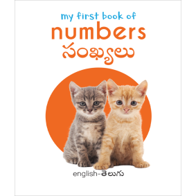 My First Book of Numbers - Sankhyalu : My First English Telugu Board Book