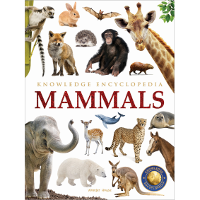 Animals - Mammals : Knowledge Encyclopedia For Children