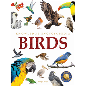 Animals - Birds : Knowledge Encyclopedia For Children