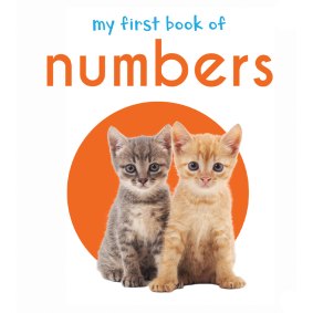 My First Book of Numbers: First Board Book