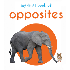 My First Book of Opposites: First Board Book