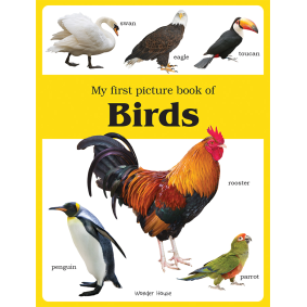 My first picture book of Birds: Picture Books for Children