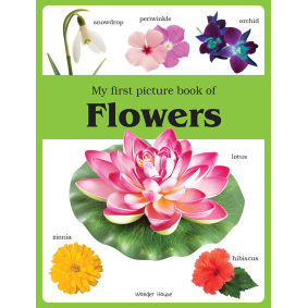 My first picture book of Flowers: Picture Books for Children
