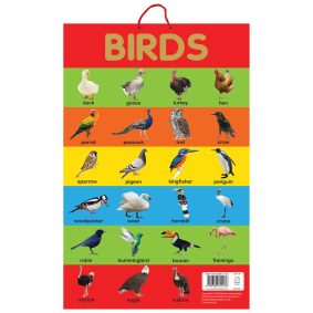 Birds - Early Learning Educational Posters For Children: Perfect For Kindergarten, Nursery and Homeschooling (19 Inches X 29 Inches)