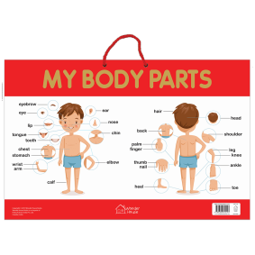 My Body Parts - Early Learning Educational Posters For Children: Perfect For Kindergarten, Nursery and Homeschooling (19 Inches X 29 Inches)