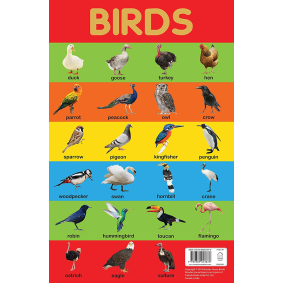 Birds Chart - Early Learning Educational Chart For Kids: Perfect For Homeschooling, Kindergarten and Nursery Students (11.5 Inches X 17.5 Inches)