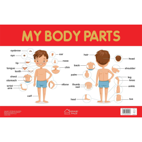 My Body Parts Chart - Early Learning Educational Chart For Kids: Perfect For Homeschooling, Kindergarten and Nursery Students (11.5 Inches X 17.5 Inches)