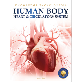 Human Body - Heart And Circulatory System: Knowledge Encyclopedia For Children