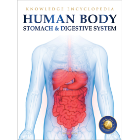 Human Body - Stomach And Digestive System: Knowledge Encyclopedia For Children