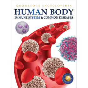 Human Body - Immune System And Common Diseases: Knowledge Encyclopedia For Children