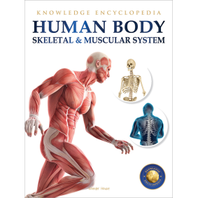 Human Body - Skeletal And Muscular System: Knowledge Encyclopedia For Children