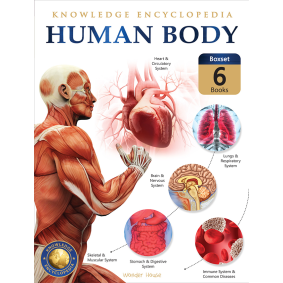 Human Body Box Set: Knowledge Encyclopedia For Children
