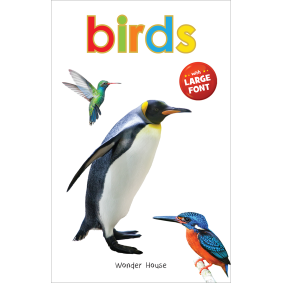 Birds - Early Learning Board Book With Large Font : Big Board Books Series