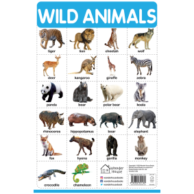 Wild Animals - My First Early Learning Wall Chart: For Preschool, Kindergarten, Nursery And Homeschooling (19 Inches X 29 Inches)