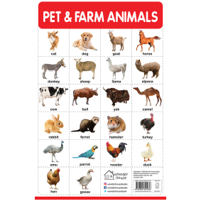 Pet And Farm Animals - My First Early Learning Wall Chart: For Preschool, Kindergarten, Nursery And Homeschooling (19 Inches X 29 Inches)